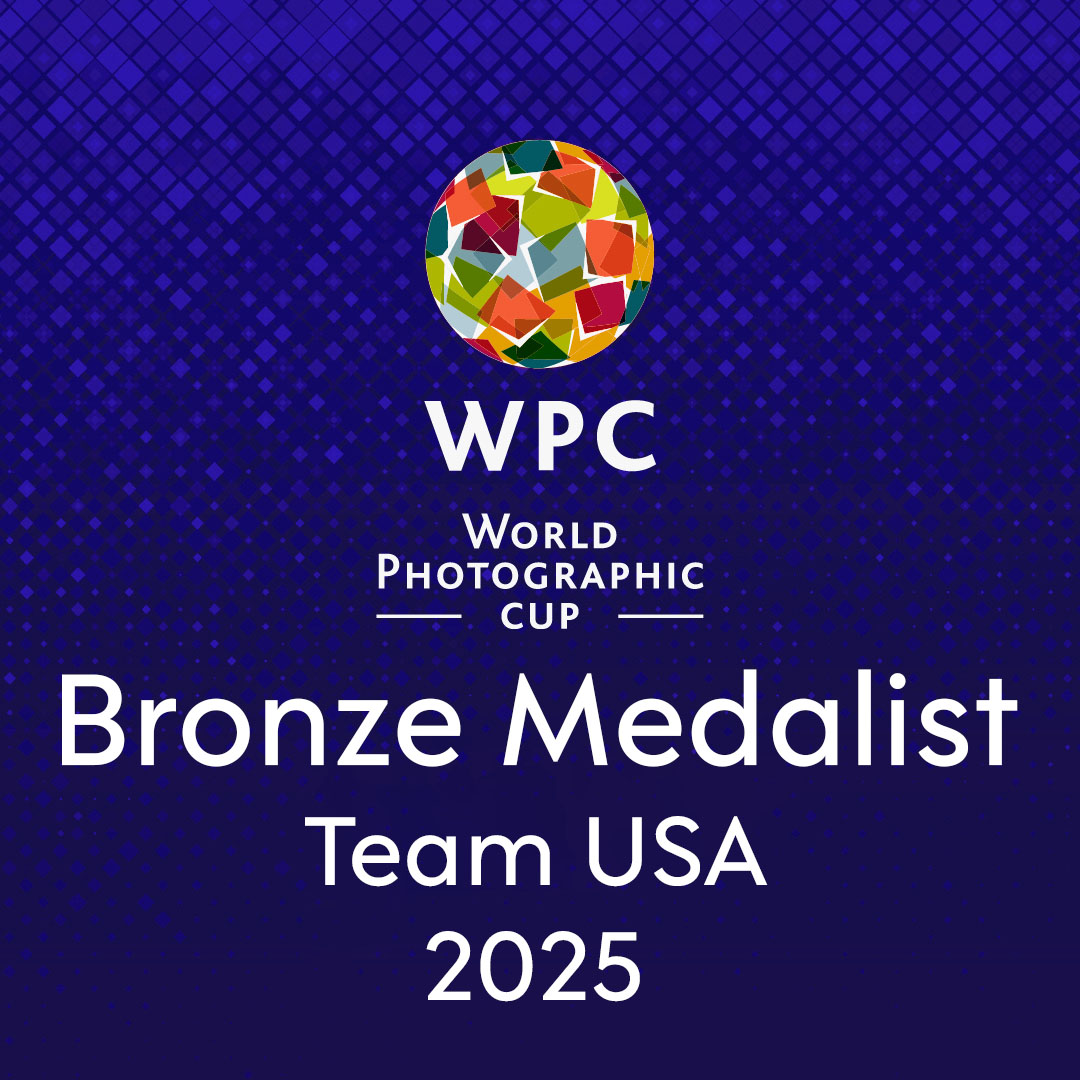 WPC Bronze Medal Logo