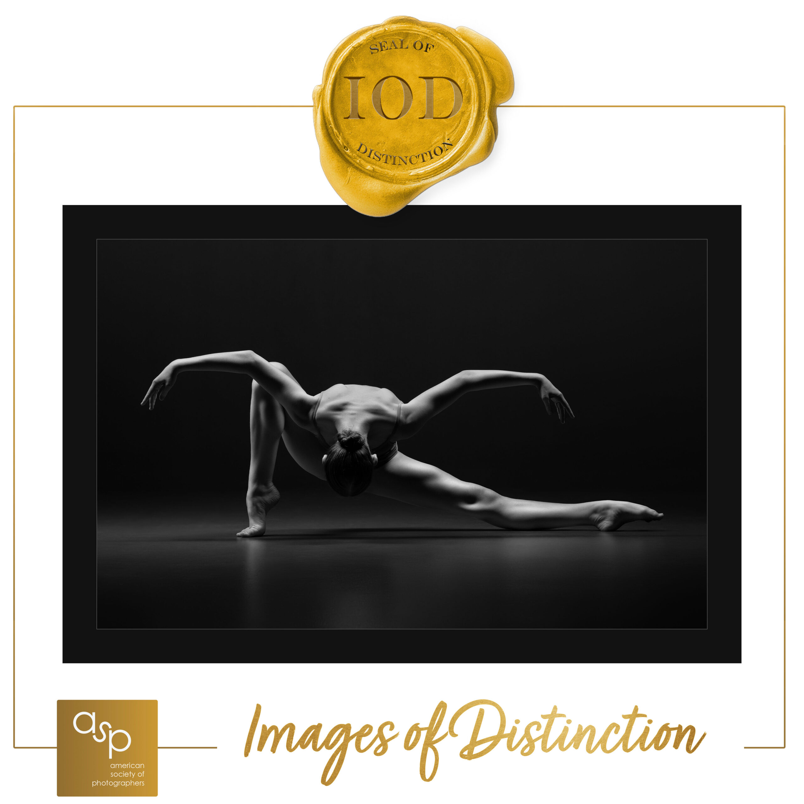 Images of Distinction Certificate -- Seal of Distinction -- Keeping a Low Profile