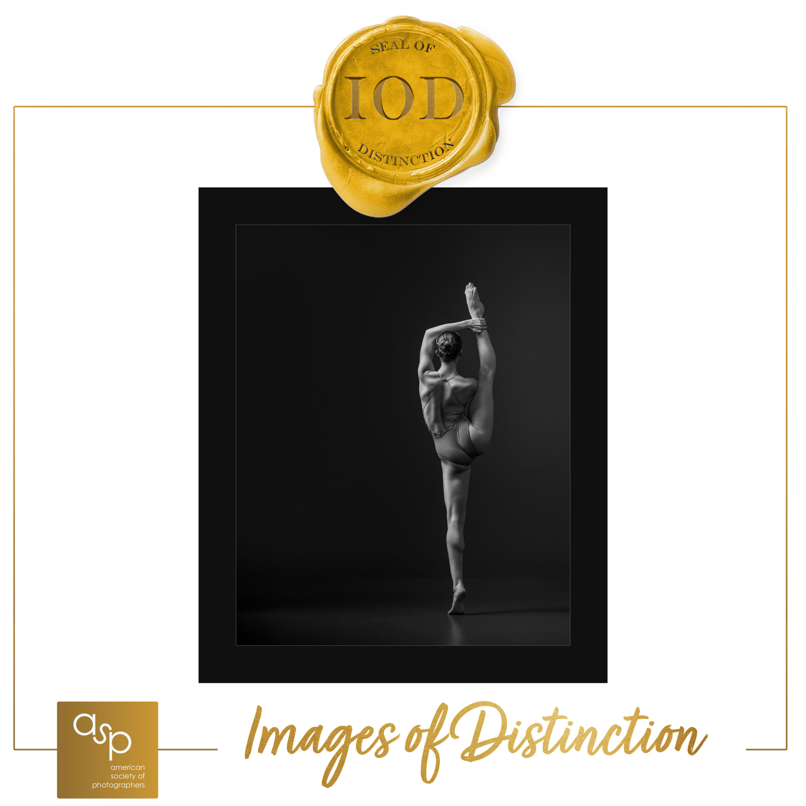Images of Distinction Certificate -- Seal of Distinction -- Ripple Effect